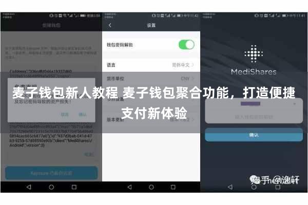 麦子钱包新人教程 麦子钱包聚合功能，打造便捷支付新体验