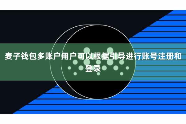 麦子钱包多账户用户可以根据引导进行账号注册和登录
