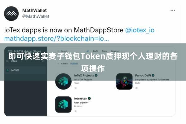 即可快速实麦子钱包Token质押现个人理财的各项操作
