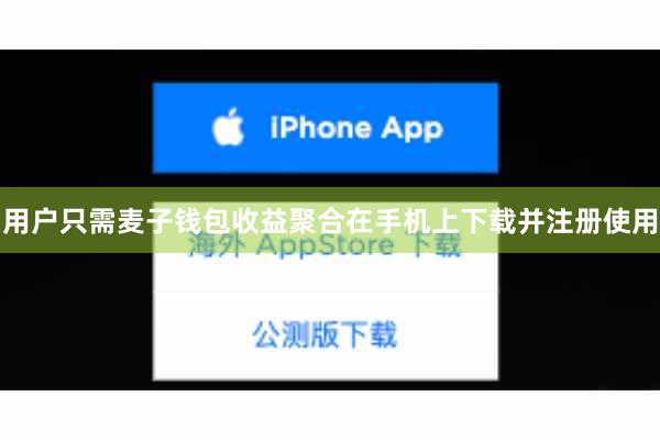 用户只需麦子钱包收益聚合在手机上下载并注册使用