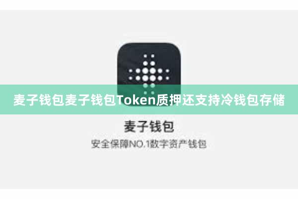 麦子钱包麦子钱包Token质押还支持冷钱包存储