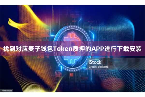 找到对应麦子钱包Token质押的APP进行下载安装