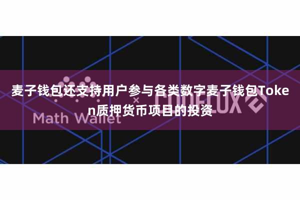 麦子钱包还支持用户参与各类数字麦子钱包Token质押货币项目的投资