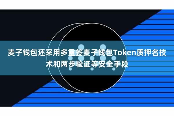 麦子钱包还采用多重签麦子钱包Token质押名技术和两步验证等安全手段