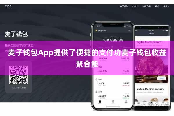 麦子钱包App提供了便捷的支付功麦子钱包收益聚合能
