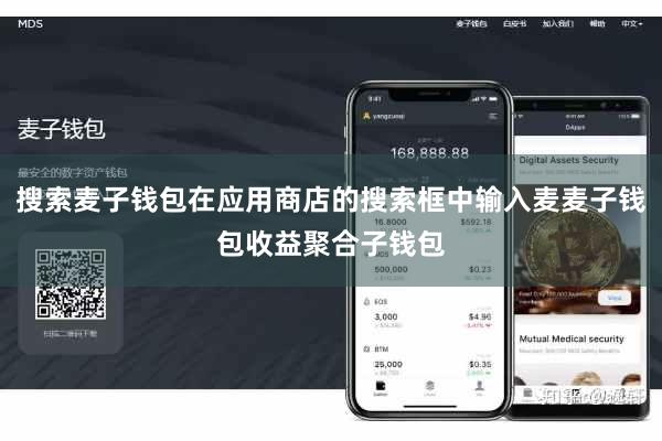 搜索麦子钱包在应用商店的搜索框中输入麦麦子钱包收益聚合子钱包