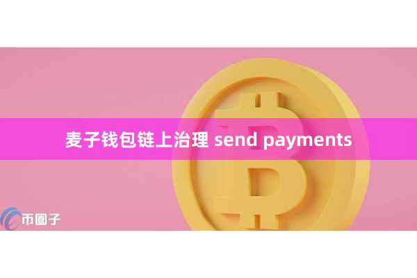 麦子钱包链上治理 send payments