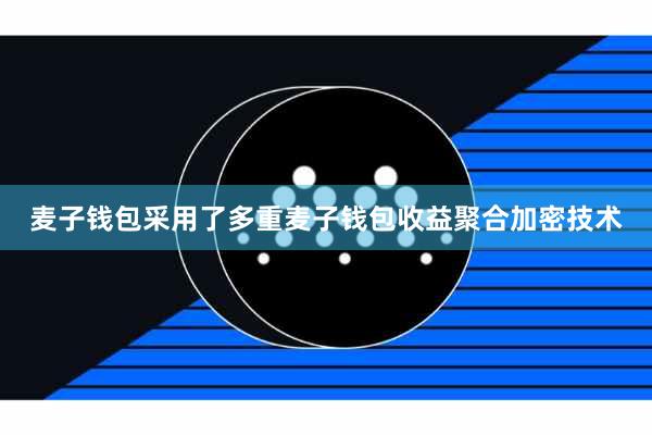 麦子钱包采用了多重麦子钱包收益聚合加密技术