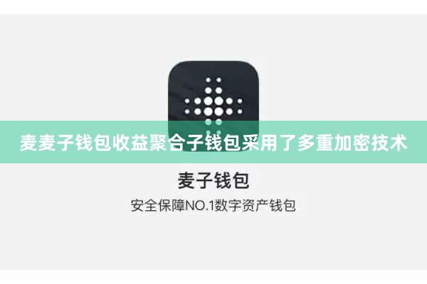 麦麦子钱包收益聚合子钱包采用了多重加密技术