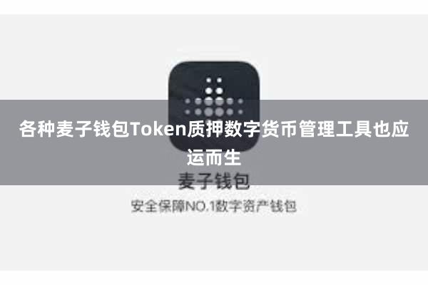 各种麦子钱包Token质押数字货币管理工具也应运而生