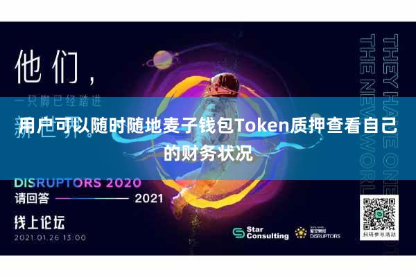 用户可以随时随地麦子钱包Token质押查看自己的财务状况