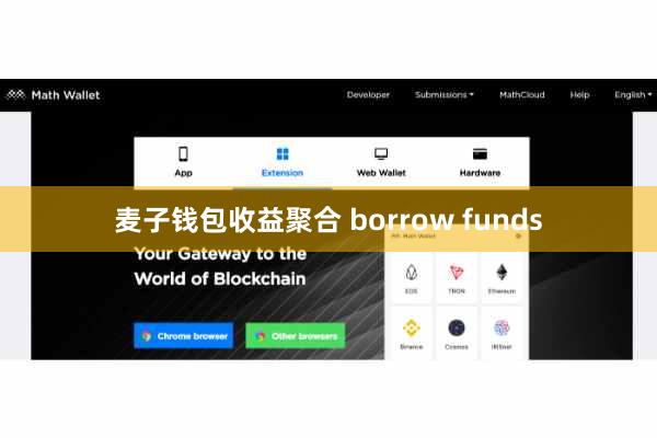 麦子钱包收益聚合 borrow funds