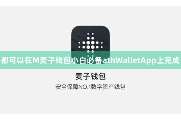 MathWalletAp麦子钱包链上治理p支持多种数字货币管理