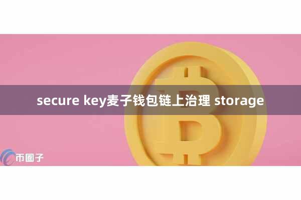 secure key麦子钱包链上治理 storage