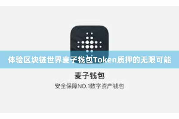 体验区块链世界麦子钱包Token质押的无限可能