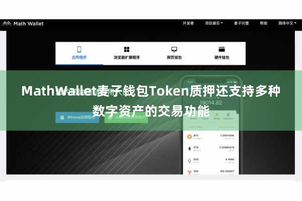MathWallet麦子钱包Token质押还支持多种数字资产的交易功能
