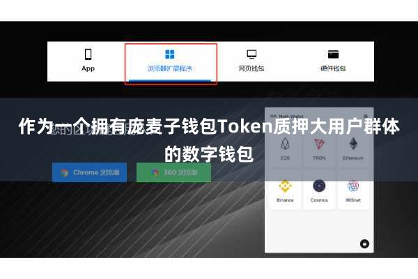 作为一个拥有庞麦子钱包Token质押大用户群体的数字钱包