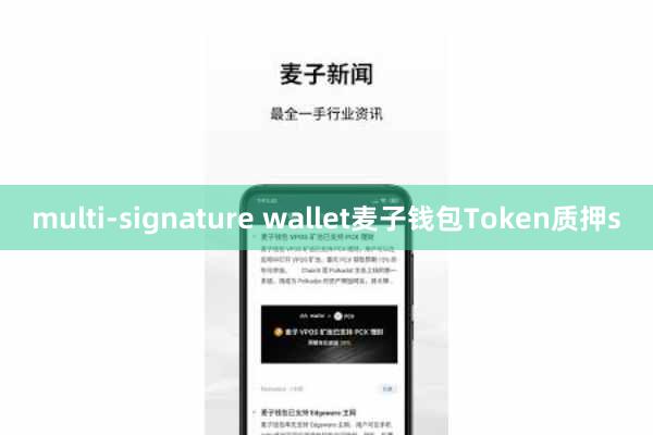 multi-signature wallet麦子钱包Token质押s
