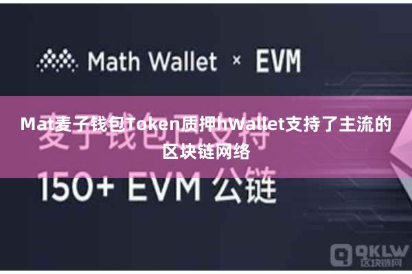 Mat麦子钱包Token质押hWallet支持了主流的区块链网络