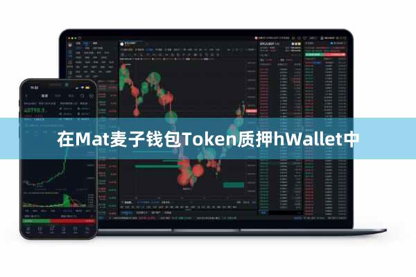 在Mat麦子钱包Token质押hWallet中
