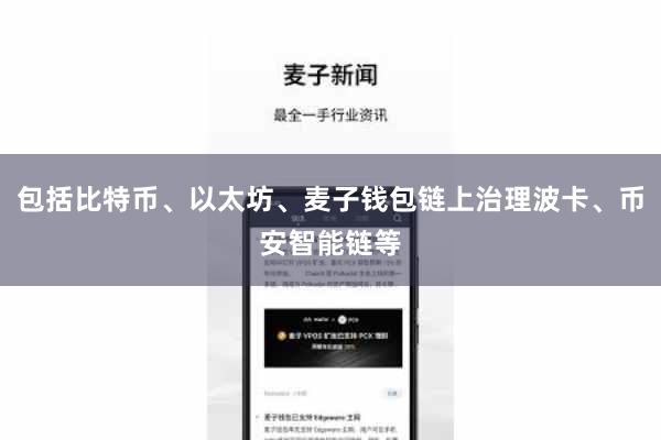 包括比特币、以太坊、麦子钱包链上治理波卡、币安智能链等