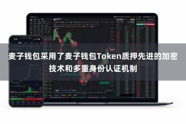麦子钱包采用了麦子钱包Token质押先进的加密技术和多重身份认证机制