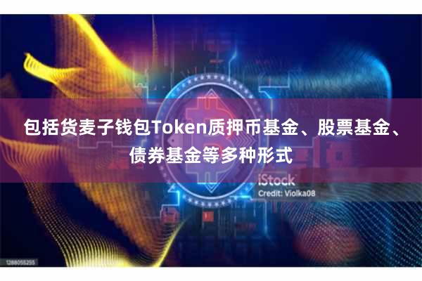 包括货麦子钱包Token质押币基金、股票基金、债券基金等多种形式