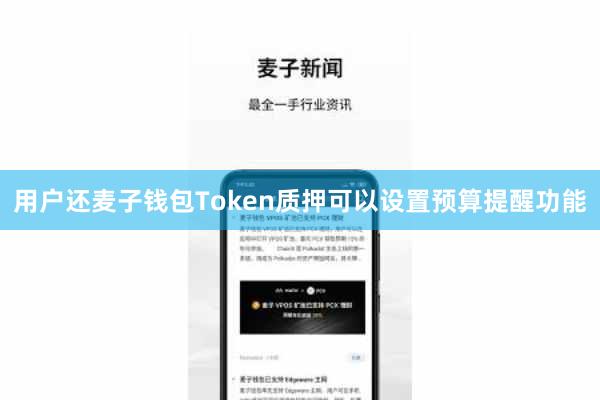 用户还麦子钱包Token质押可以设置预算提醒功能