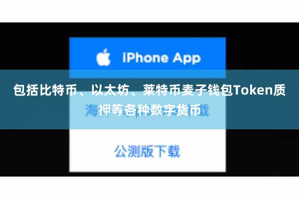 包括比特币、以太坊、莱特币麦子钱包Token质押等各种数字货币