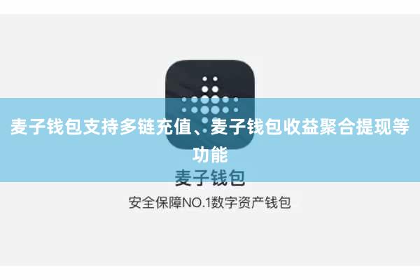 麦子钱包支持多链充值、麦子钱包收益聚合提现等功能