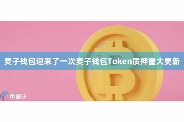 麦子钱包迎来了一次麦子钱包Token质押重大更新