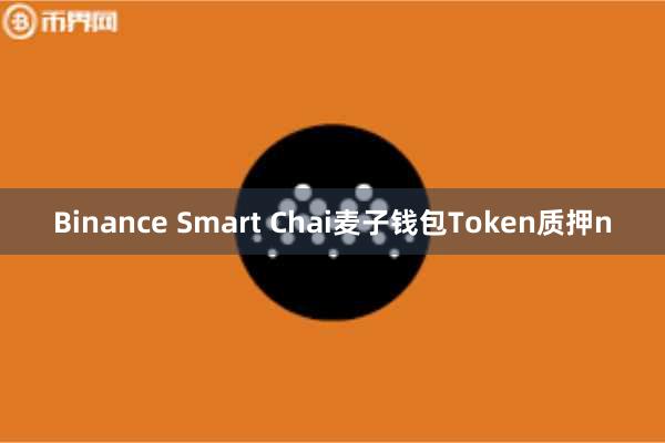 Binance Smart Chai麦子钱包Token质押n
