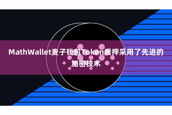 MathWallet麦子钱包Token质押采用了先进的加密技术